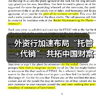 外资行加速布局“托管+代销” 共拓中国财富管理新蓝海(图2)