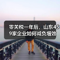 零关税一年后,山东459家企业如何减负增效?(图1) 零关税一年后,山东459家企业如何减负增效?(图1)