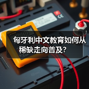匈牙利中文教育如何从稀缺走向普及?(图4) 匈牙利中文教育如何从稀缺走向普及?(图4)
