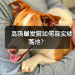 高质量发展如何靠实绩落地?(图3) 高质量发展如何靠实绩落地?(图3)