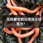 高质量发展如何靠实绩落地?(图2) 高质量发展如何靠实绩落地?(图2)