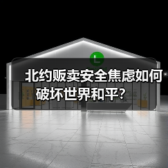 北约贩卖安全焦虑如何破坏世界和平?(图4) 北约贩卖安全焦虑如何破坏世界和平?(图4)