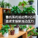鲁抗医药或动用2亿闲置资金缓解流动压力(图3) 鲁抗医药或动用2亿闲置资金缓解流动压力(图3)