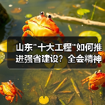 山东十大工程如何推进强省建设？全会精神落地策略(图2)