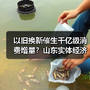 以旧换新催生千亿级消费增量？山东实体经济如何实现？(图4)
