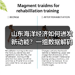 山东海洋经济如何迸发新动能?一组数据解码深蓝转型密码(图3) 山东海洋经济如何迸发新动能?一组数据解码深蓝转型密码(图3)