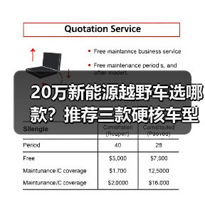 20万新能源越野车选哪款?推荐三款硬核车型(图3) 20万新能源越野车选哪款?推荐三款硬核车型(图3)