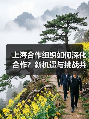上海合作组织如何深化合作?新机遇与挑战并存(图4) 上海合作组织如何深化合作?新机遇与挑战并存(图4)