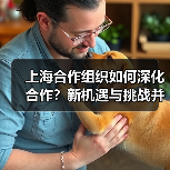 上海合作组织如何深化合作?新机遇与挑战并存(图1) 上海合作组织如何深化合作?新机遇与挑战并存(图1)