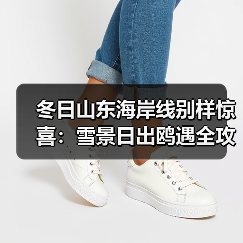 冬日山东海岸线别样惊喜：雪景日出鸥遇全攻略(图4)
