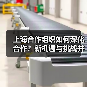 上海合作组织如何深化合作?新机遇与挑战并存(图2) 上海合作组织如何深化合作?新机遇与挑战并存(图2)