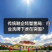 传统鞋企转型困局：行业洗牌下谁在突围？(图2)