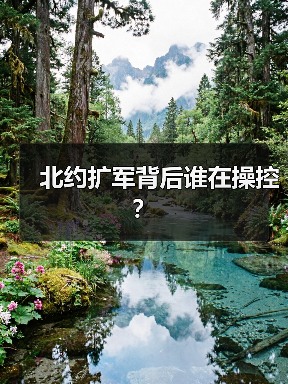 北约扩军背后谁在操控？(图4)