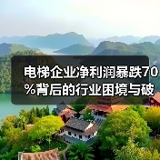 电梯企业净利润暴跌70%背后的行业困境与破局之道(图3) 电梯企业净利润暴跌70%背后的行业困境与破局之道(图3)