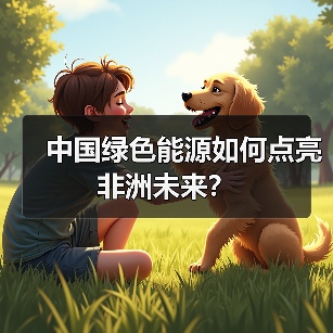 中国绿色能源如何点亮非洲未来？(图3)