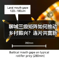 聊城三级矩阵如何推动乡村振兴?连片共富新路径(图4) 聊城三级矩阵如何推动乡村振兴?连片共富新路径(图4)