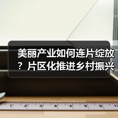 美丽产业如何连片绽放？片区化推进乡村振兴的实践(图4)