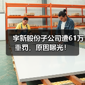 宇新股份子公司遭61万重罚,原因曝光!(图4) 宇新股份子公司遭61万重罚,原因曝光!(图4)