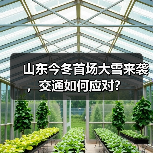 山东今冬首场大雪来袭,交通如何应对?(图4) 山东今冬首场大雪来袭,交通如何应对?(图4)