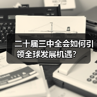 二十届三中全会如何引领全球发展机遇?(图3) 二十届三中全会如何引领全球发展机遇?(图3)