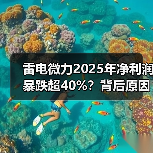 雷电微力2025年净利润暴跌超40%？背后原因曝光(图2)