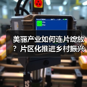 美丽产业如何连片绽放？片区化推进乡村振兴的实践(图2)