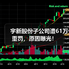 宇新股份子公司遭61万重罚,原因曝光!(图1) 宇新股份子公司遭61万重罚,原因曝光!(图1)