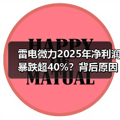 雷电微力2025年净利润暴跌超40%？背后原因曝光(图1)
