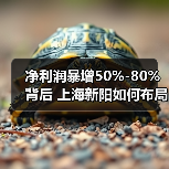 净利润暴增50%-80%背后 上海新阳如何布局半导体赛道(图4) 净利润暴增50%-80%背后 上海新阳如何布局半导体赛道(图4)