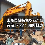 山东县域特色农业产业突破275个:如何打造百亿级支柱?(图4) 山东县域特色农业产业突破275个:如何打造百亿级支柱?(图4)