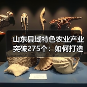 山东县域特色农业产业突破275个:如何打造百亿级支柱?(图1) 山东县域特色农业产业突破275个:如何打造百亿级支柱?(图1)