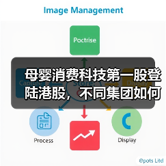 母婴消费科技第一股登陆港股,不同集团如何打造增长引擎?(图2) 母婴消费科技第一股登陆港股,不同集团如何打造增长引擎?(图2)