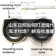 山东日照如何打造现代海洋牧场？耕海牧渔建设蓝色粮仓(图4)