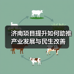 济南项目提升如何助推产业发展与民生改善(图2) 济南项目提升如何助推产业发展与民生改善(图2)