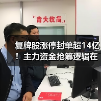 复牌股涨停封单超14亿！主力资金抢筹逻辑