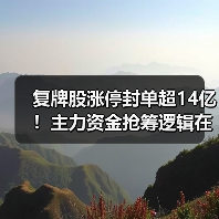 复牌股涨停封单超14亿!主力资金抢筹逻辑在哪?(图4) 复牌股涨停封单超14亿!主力资金抢筹逻辑在哪?(图4)