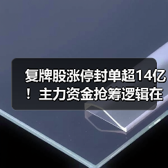 复牌股涨停封单超14亿!主力资金抢筹逻辑在哪?(图3) 复牌股涨停封单超14亿!主力资金抢筹逻辑在哪?(图3)