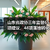 山东省政协三年监督65项建议,48项落地转化(图2) 山东省政协三年监督65项建议,48项落地转化(图2)