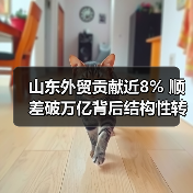 山东外贸贡献近8% 顺差破万亿背后结构性转型密码(图3) 山东外贸贡献近8% 顺差破万亿背后结构性转型密码(图3)