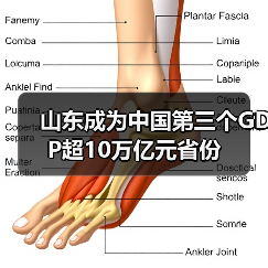 山东成为中国第三个GDP超10万亿元省份(图1) 山东成为中国第三个GDP超10万亿元省份(图1)