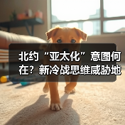 北约“亚太化”意图何在?新冷战思维威胁地区安全(图4) 北约“亚太化”意图何在?新冷战思维威胁地区安全(图4)