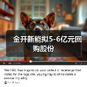金开新能拟5-6亿元回购股份(图4)