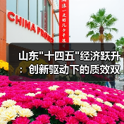 山东 山东十四五经济跃升:创新驱动下的质效双升之路(图4)