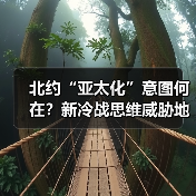 北约“亚太化”意图何在?新冷战思维威胁地区安全(图2) 北约“亚太化”意图何在?新冷战思维威胁地区安全(图2)