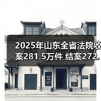 2025年山东全省法院收案281.5万件 结案272.8万件(图3) 2025年山东全省法院收案281.5万件 结案272.8万件(图3)