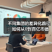 不同集团的差异化路径:如何从0到百亿市值(图4) 不同集团的差异化路径:如何从0到百亿市值(图4)