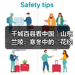 千城百县看中国|山东兰陵:寒冬中的“花经济”(图4) 千城百县看中国|山东兰陵:寒冬中的“花经济”(图4)