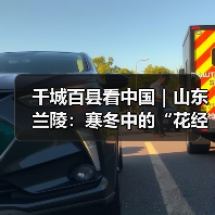 千城百县看中国|山东兰陵:寒冬中的“花经济”(图1) 千城百县看中国|山东兰陵:寒冬中的“花经济”(图1)