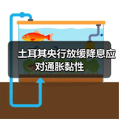 土耳其央行放缓降息应对通胀黏性(图4) 土耳其央行放缓降息应对通胀黏性(图4)