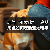 北约“亚太化”：冷战思维如何威胁亚太和平？